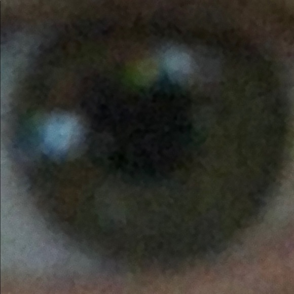 Meet your Posher, Russell - Picture 2 of 3